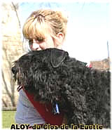 SITE WEB ELEVAGE DU CLOS DE LA LUETTE SPECIALISE POUR LE BOUVIER DES FLANDRES &copy; COPYRIGHT DEPOSE