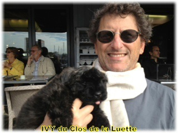IVY du Clos de la Luette &copy; Elevage de Bouvier des Flandres du Clos de la Luette