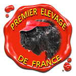 LABEL DU SITE WEB ELEVAGE DU CLOS DE LA LUETTE SPECIALISE POUR LE BOUVIER DES FLANDRES &copy;