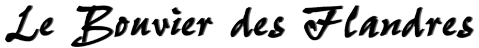 Elevage du CLOS DE LA LUETTE - COPYRIGHT DEPOSE