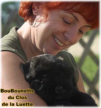 bouvier des flandres photo chiot - Elevage Clos Luette - COPYRIGHT DEPOSE