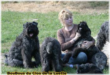 Elevage du CLOS DE LA LUETTE - COPYRIGHT DEPOSE