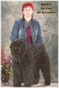 Elevage du CLOS DE LA LUETTE - COPYRIGHT DEPOSE