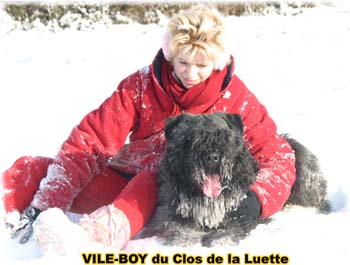 Elevage du CLOS DE LA LUETTE - COPYRIGHT DEPOSE