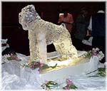 SITE WEB ELEVAGE DU CLOS DE LA LUETTE SPECIALISE POUR LE BOUVIER DES FLANDRES &copy; COPYRIGHT DEPOSE