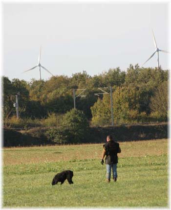 - Copyright d&eacute;pos&eacute;