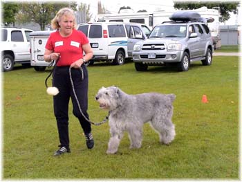Elevage du CLOS DE LA LUETTE - COPYRIGHT DEPOSE