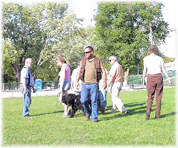 Elevage du CLOS DE LA LUETTE - COPYRIGHT DEPOSE