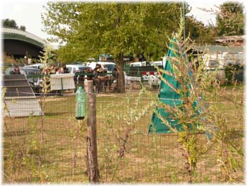 Elevage du CLOS DE LA LUETTE - COPYRIGHT DEPOSE