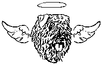 &copy; Elevage de bouviers des flandres du Clos de la Luette specialis&eacute; pour le bouvier des flandres Copyrigth depose