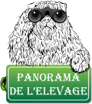 


SITE WEB ELEVAGE DU CLOS DE LA LUETTE SPECIALISE POUR LE BOUVIER DES FLANDRES &copy;